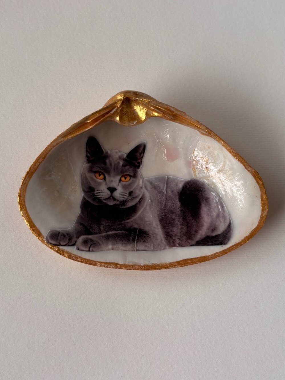 Cat Trinket Dish Decoupage and Gold Painted Oyster Shell